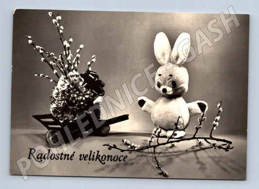 Pohlednice velikonoční zajíc kočičky cca 1960 (M24532)