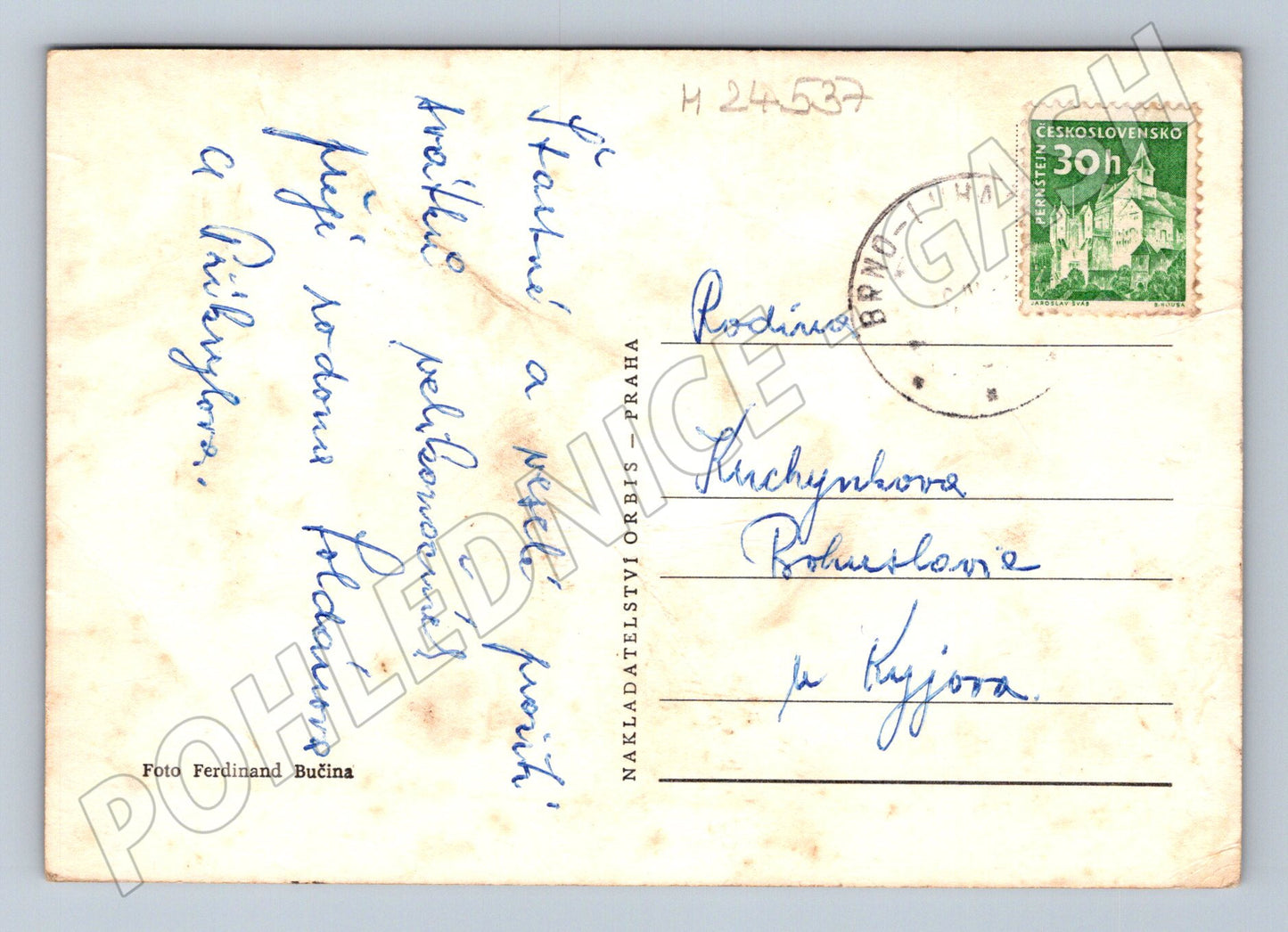 Pohlednice Radostné Velikonoce kočičky (M24537)