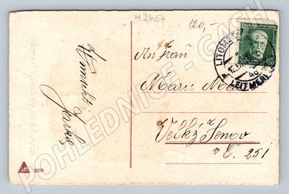 Dívka v kroji s košíkem květin etnografie (M2454)