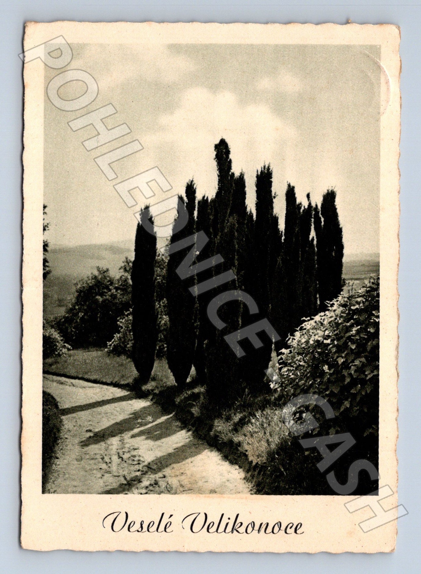Pohlednice Veselé Velikonoce Bohuslavice u Kyjova 1946 (M24540)