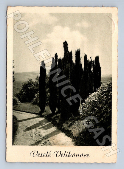 Pohlednice Veselé Velikonoce Bohuslavice u Kyjova 1946 (M24540)