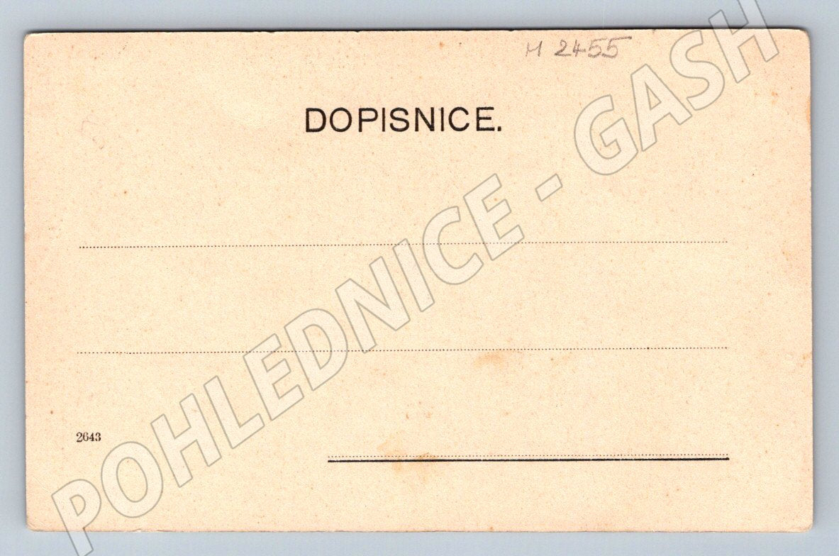 Venkovský pár v kroji etnografie (M2455)