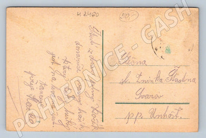 Long live Anna! children in ethnographic costumes (M2460)