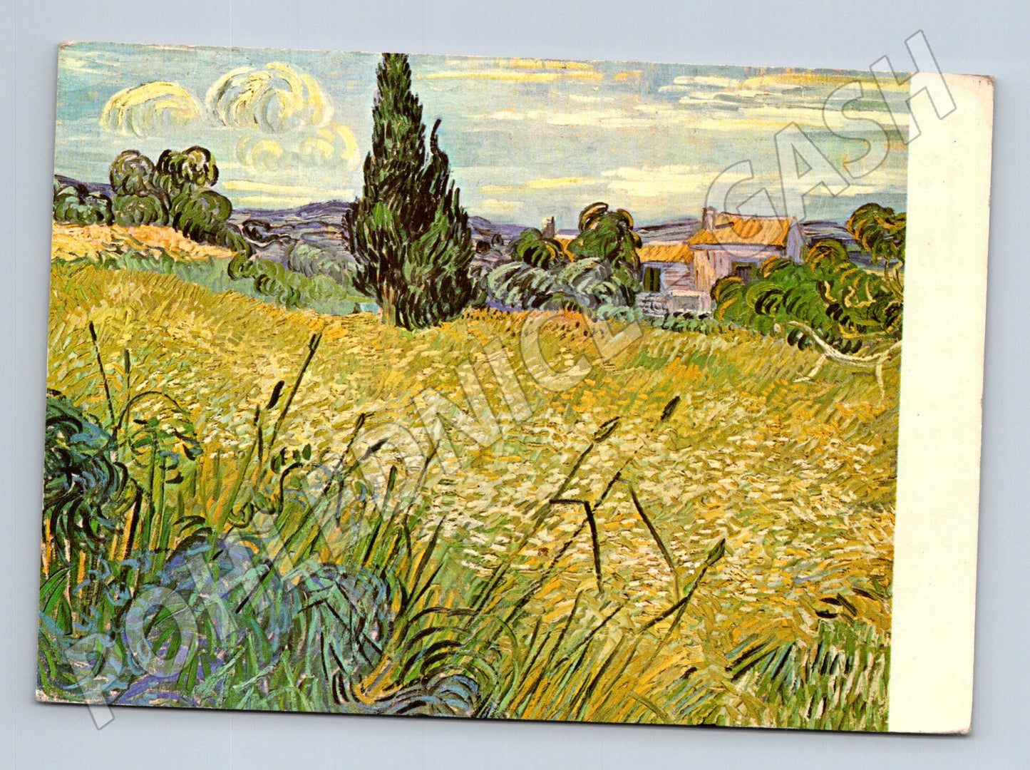 Pohlednice malířství Van Gogh Zelené žito (M24649)