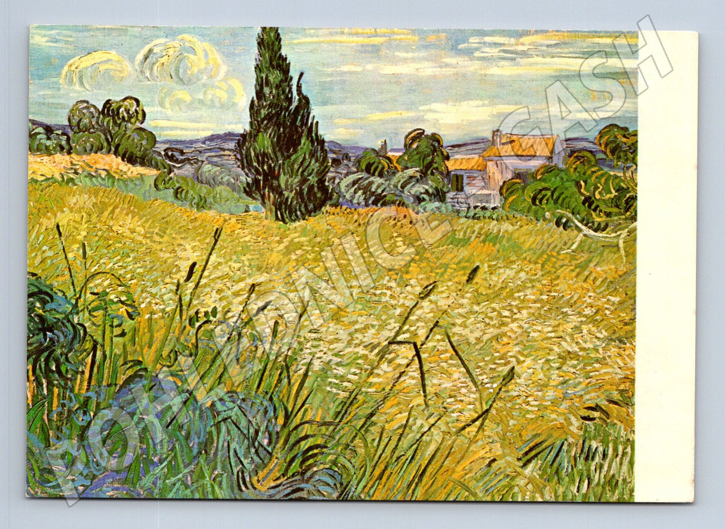 Pohlednice obraz Vincent van Gogh Zelené žito (M24655)
