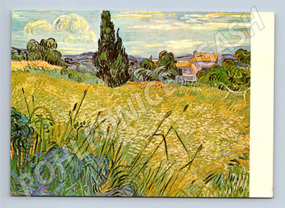 Pohlednice obraz Vincent van Gogh Zelené žito (M24655)