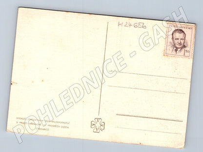 Pohlednice Zátiší s ovocem (M24656)