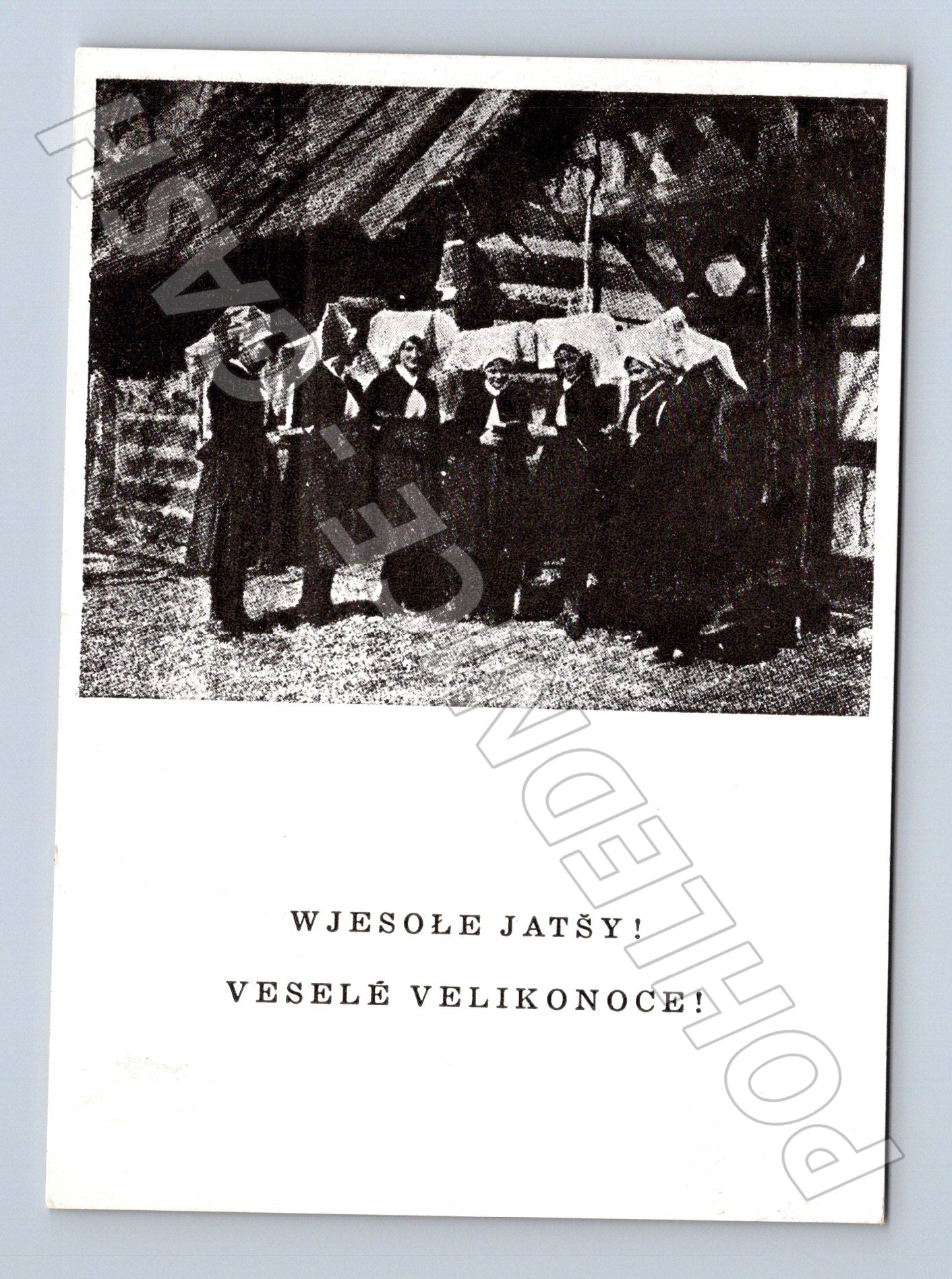 Pohlednice Lužice velikonoční zpěvačky (M24666)