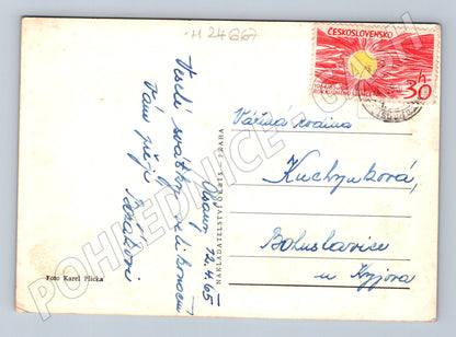 Pohlednice muži v kroji Velikonoce 1965 (M24667)