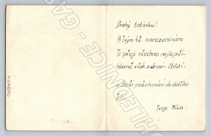 Pohlednice blahopřání k narozeninám květiny (M24680)