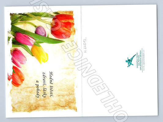 Pohlednice Kytice tulipánů přání (M24682)