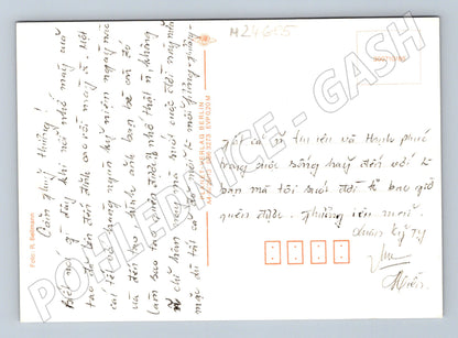 Pohlednice Německo kytice květin (M24685)