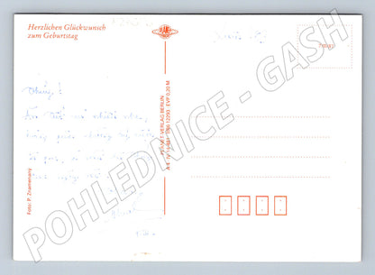 Pohlednice Německo červená růže 1987 (M24686)