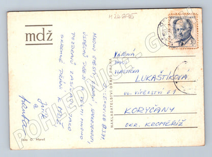 Pohlednice dvě červené růže s kapradím (M24695)