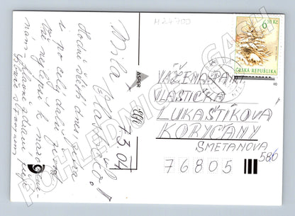 Pohlednice Hodně štěstí květiny 2004 (M24700)