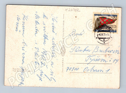 Pohlednice dvě růžové růže 1974 (M24702)