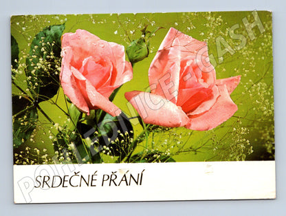 Pohlednice růže SRDEČNÉ PŘÁNÍ (M24703)
