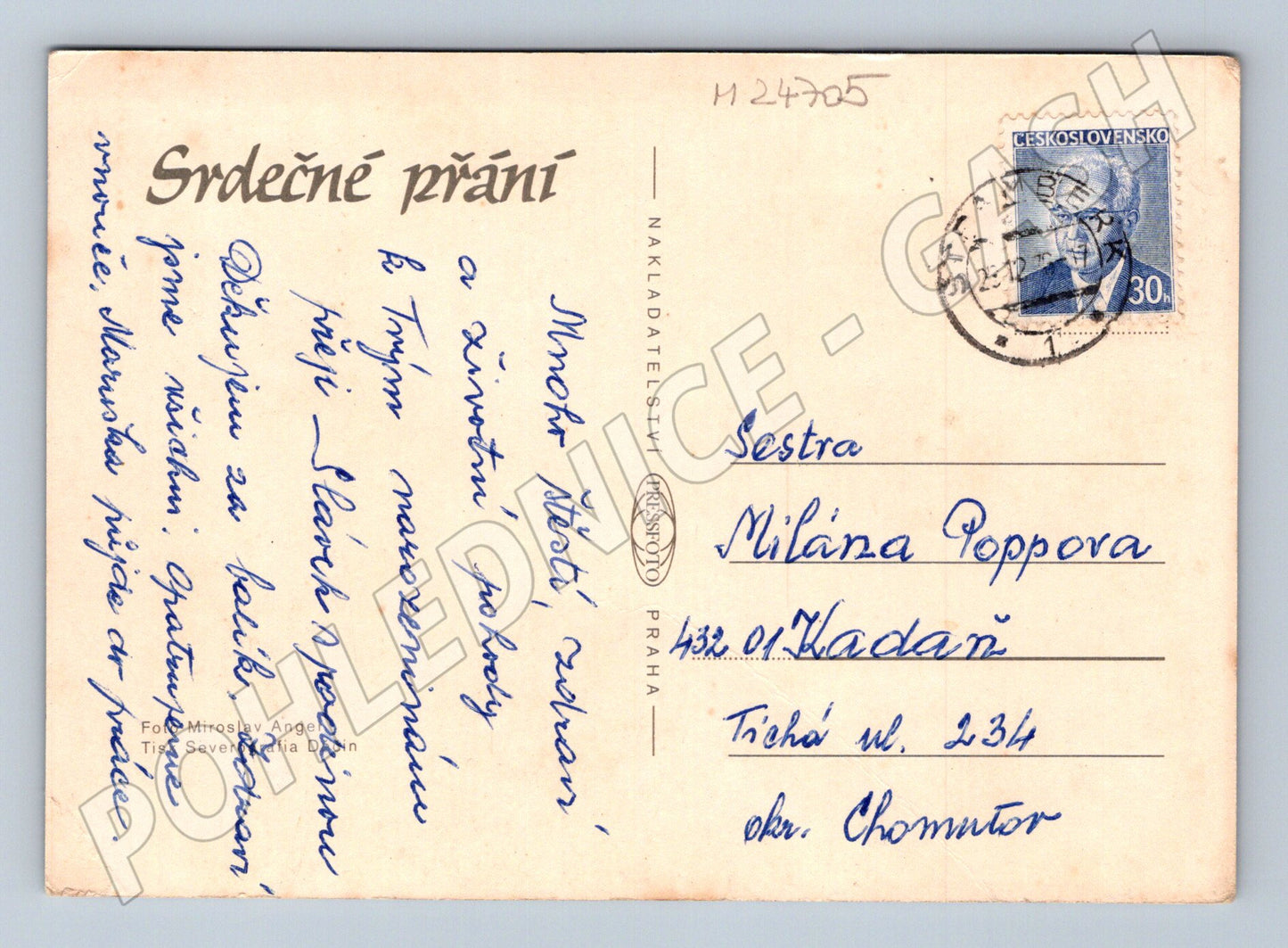 Pohlednice Květiny červené a bílá růže 1930 (M24705)