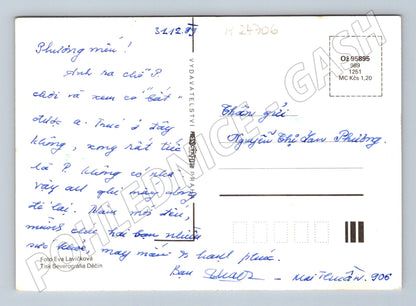 Pohlednice Srdečné přání květiny 1993 (M24706)