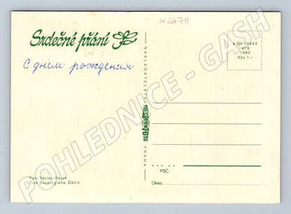 Pohlednice červená růže 1980 (M24711)