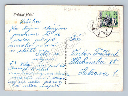 Pohlednice květiny cyklámen umělecká 1958 (M24714)