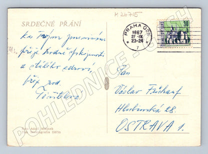 Pohlednice Růže 1967 (M24715)