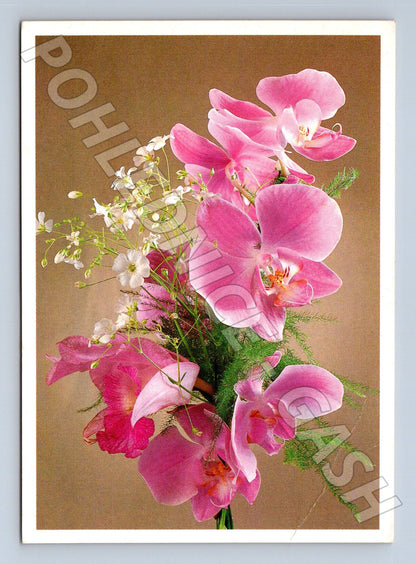 Pohlednice Kytice růžových orchidejí 1999 (M24716)