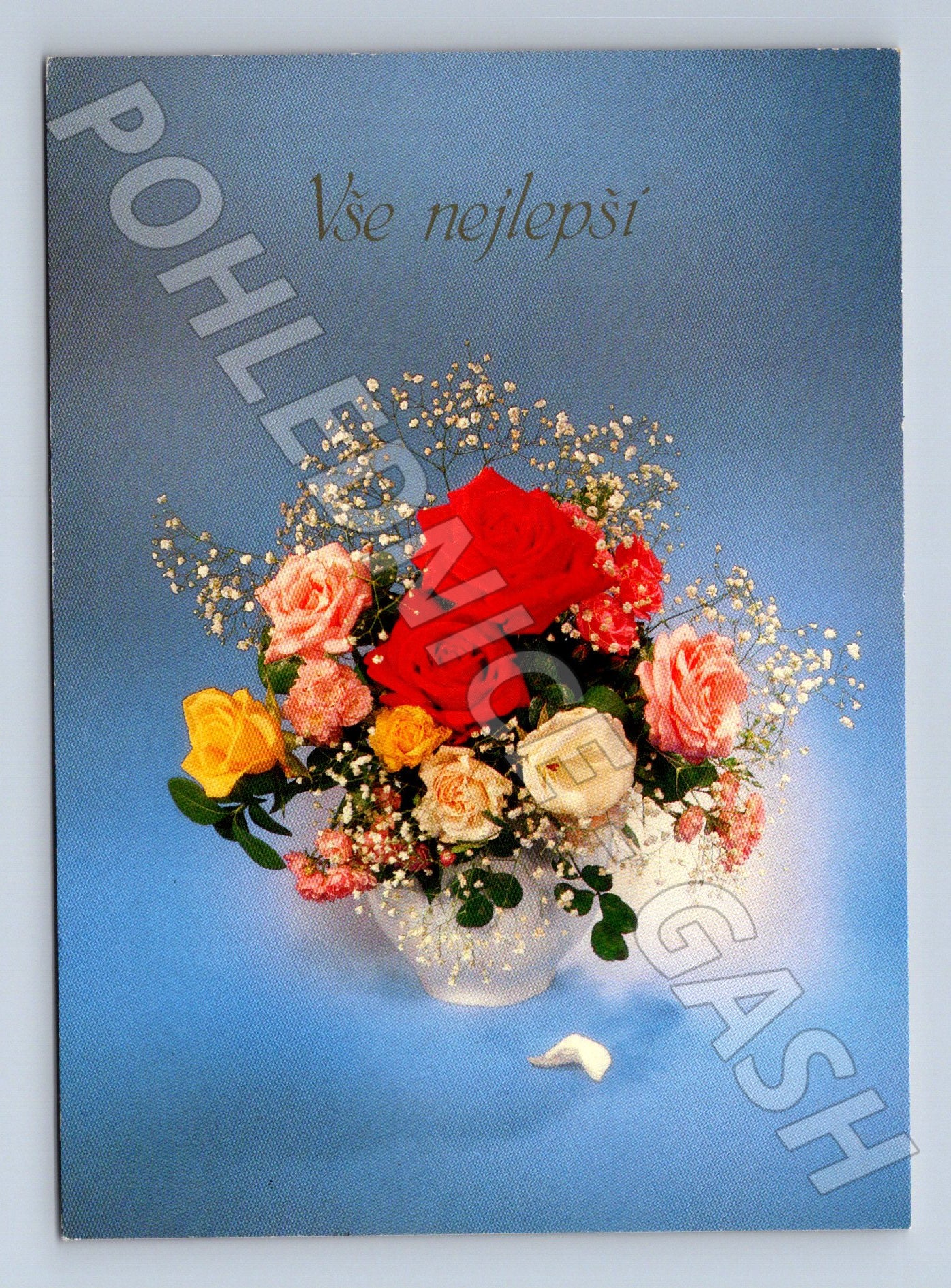 Pohlednice Vše nejlepší kytice růží 1999 (M24717)