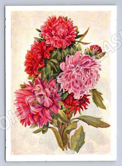 Soviet flowers handwritten (M2472)