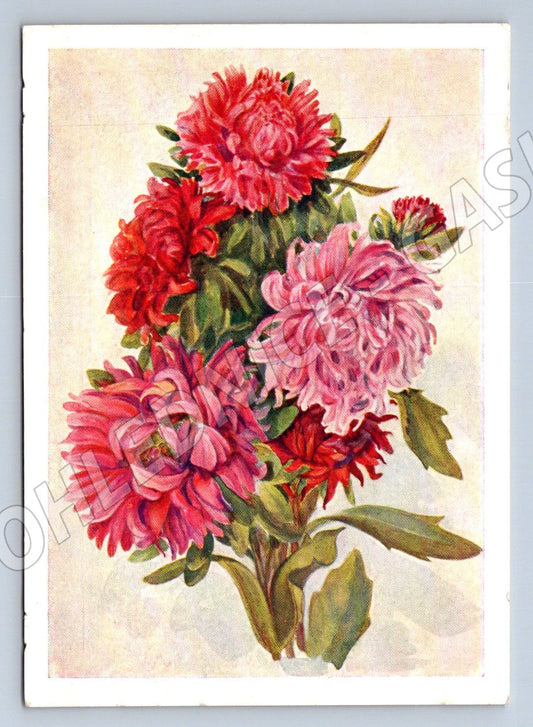 Soviet flowers handwritten (M2472)