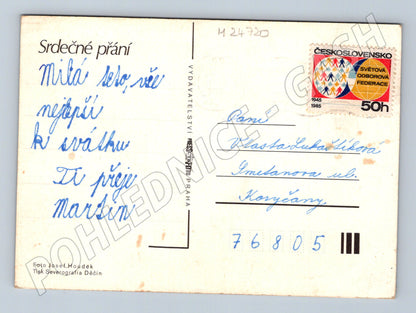 Pohlednice Květy oranžové třapatky 1985 (M24720)