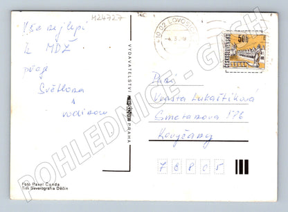 Pohlednice Kytice červených květin v zelené váze 1989 (M24727)