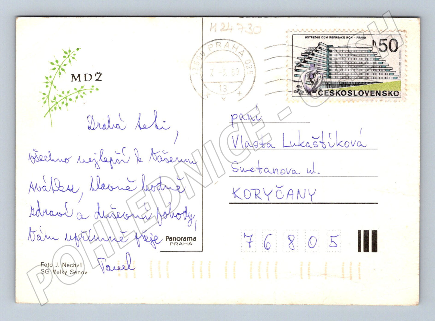 Pohlednice žluté orchideje 1980 (M24730)