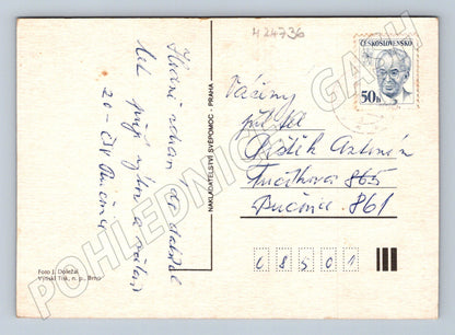 Pohlednice Kytice astry a váza Srdečné přání 1950s (M24736)