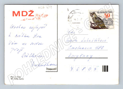 Pohlednice Československo květy karafiátů 1987 (M24739)