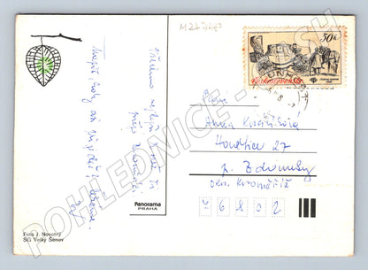Pohlednice květiny ve váze 1980 (M24748)