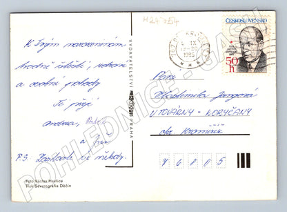 Pohlednice růže 1995 (M24754)