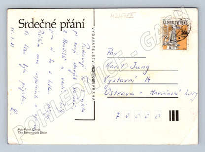 Pohlednice Pomněnky ve džbánku 1981 (M24755)