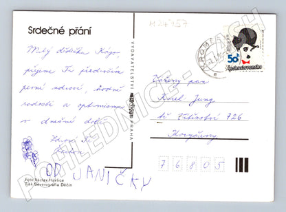 Pohlednice červenožlutá růže 1995 (M24757)