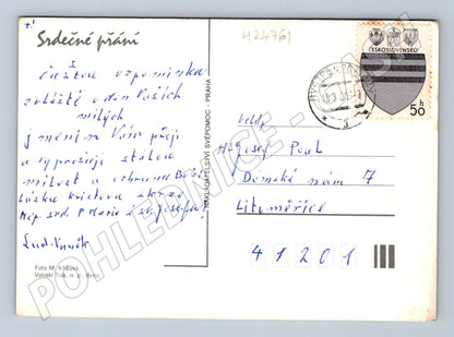 Pohlednice Květiny jiřiny 1960 (M24761)