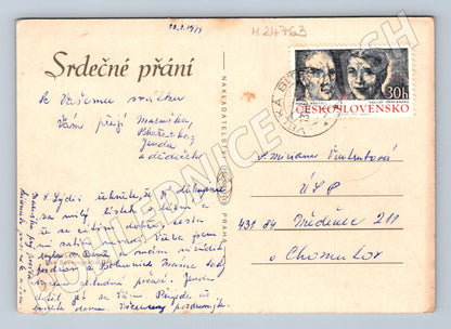 Pohlednice karafiáty květiny 1971 (M24763)