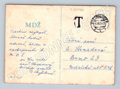 Pohlednice kytice růží Otvice 1973 (M24766)