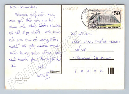 Pohlednice SRDEČNÉ PŘÁNÍ kytice žlutých květin (M24768)