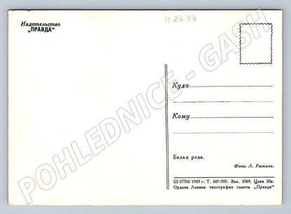 USSR 1959 White Rose Truth (M2477)