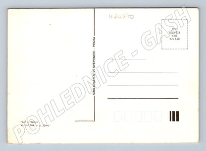 Pohlednice kytice květin srdcovka bílé květy 1985 (M24770)