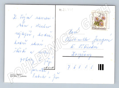 Pohlednice Gerbery květiny 1971 (M24771)