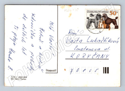 Pohlednice květiny žluté lilie SRDEČNÉ PŘÁNÍ (M24778)