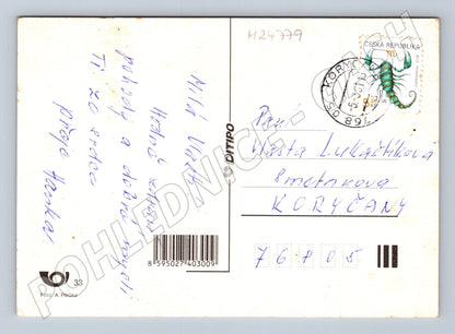 Pohlednice Koryčany zátiší květiny hrozny (M24779)
