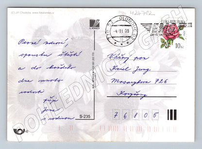 Pohlednice Blahopřání k svátku slunečnice 2009 (M24782)