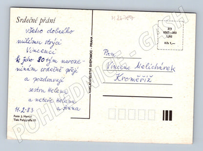 Pohlednice Kytice bílých květů 1983 (M24787)